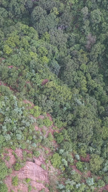 Vertical Aerial View of Rocky Hills and Misty Satpura Landscape Pachmarhi Madhya Pradesh