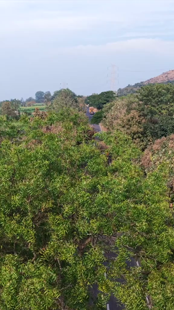 Vertical Aerial View of Rural Highway Through Maharashtra, India