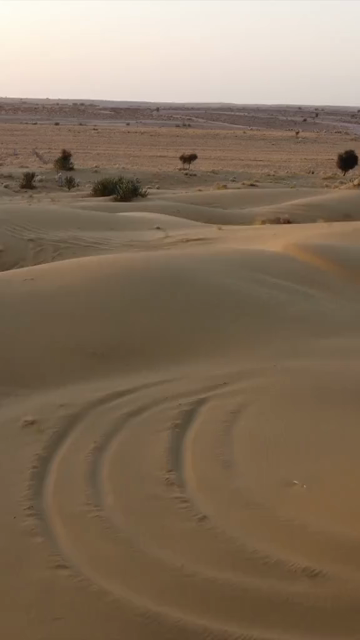 Vertical Aerial View of Sam Sand Dunes and Desert Landscape in Jaisalmer