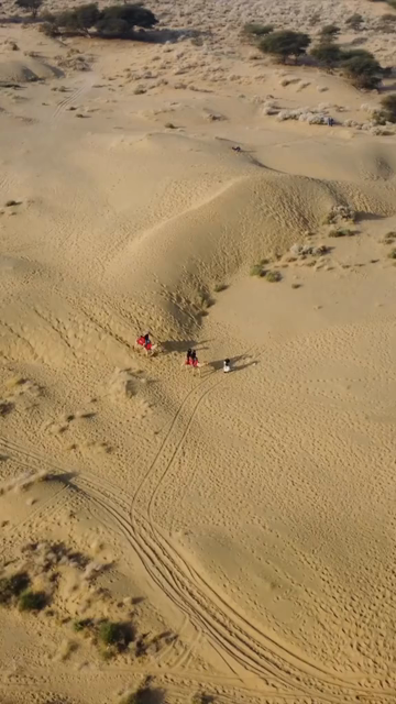 Vertical Aerial View of Sam Sand Dunes and Desert Landscape in Jaisalmer