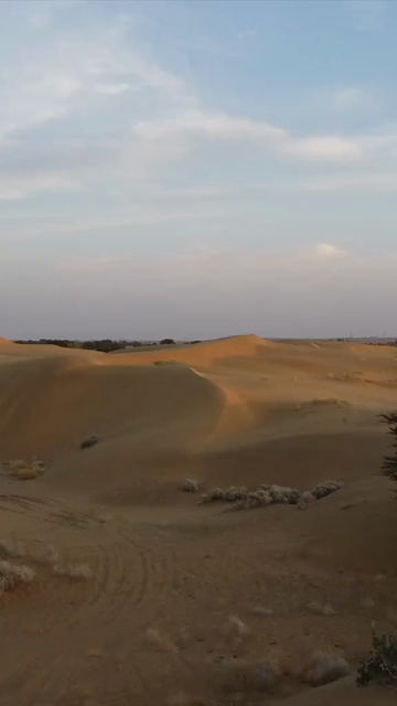 Vertical Aerial View of Sam Sand Dunes and Desert Landscape in Jaisalmer