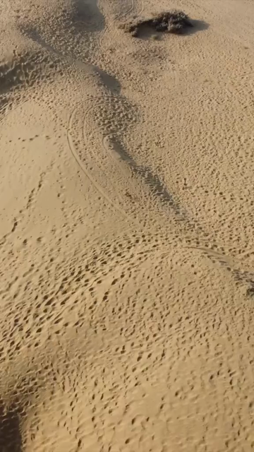 Vertical Aerial View of Sam Sand Dunes and Desert Landscape in Jaisalmer