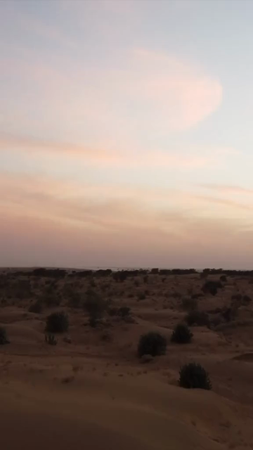 Vertical Aerial View of Sam Sand Dunes and Desert Landscape in Jaisalmer