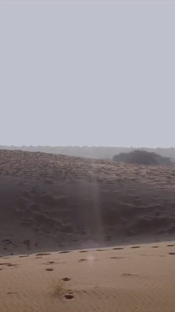 Vertical Aerial View of Sam Sand Dunes and Desert Landscape in Jaisalmer