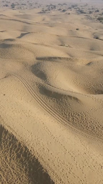 Vertical Aerial View of Sam Sand Dunes and Desert Landscape in Jaisalmer