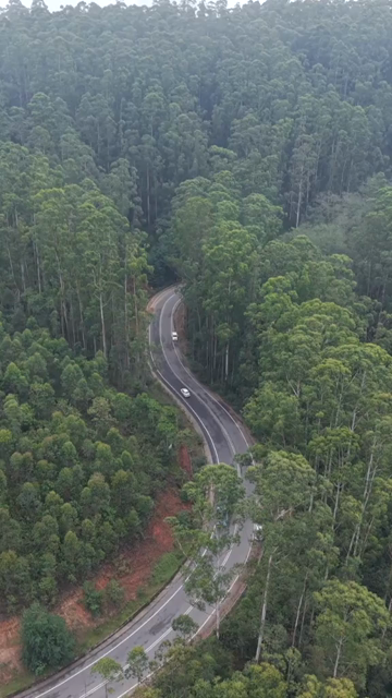Vertical Aerial View of Scenic Mountain Roads and Tea Plantations in Munnar Kerala India