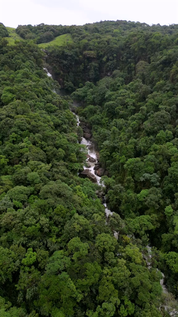 Vertical Aerial View of Nohsngithiang Seven Sisters Waterfalls, Sohra, Meghalaya