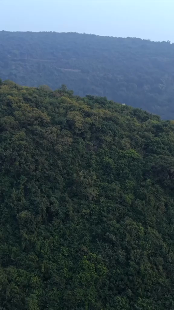 Vertical Aerial View of Simhachalam Temple Visakhapatnam India