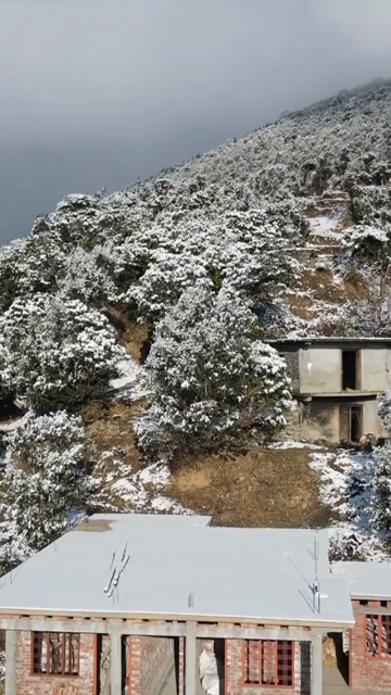 Vertical Aerial View of Snow Covered Village Near Brahmatal Uttarakhand India