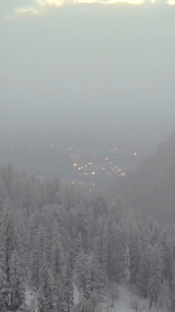Vertical Aerial View of Snowfall in Pine Forest Manali Himachal Pradesh India
