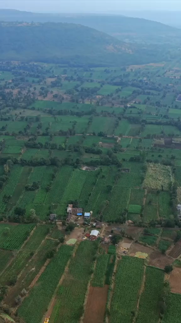 Vertical Aerial View of South Goa Countryside and Agricultural Fields Goa India
