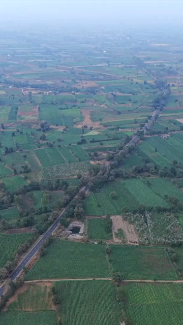 Vertical Aerial View of South Goa Countryside and Agricultural Fields Goa India