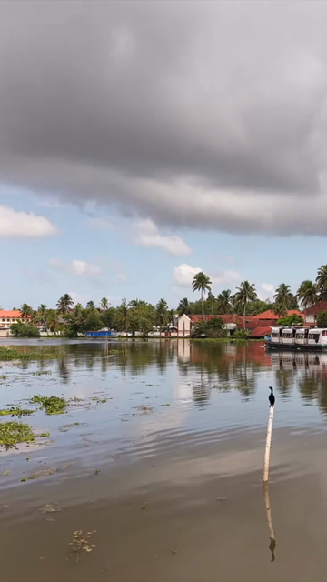 Vertical Aerial View of St. Mary’s Forane Church and Kerala Backwaters Pulinkunnu India