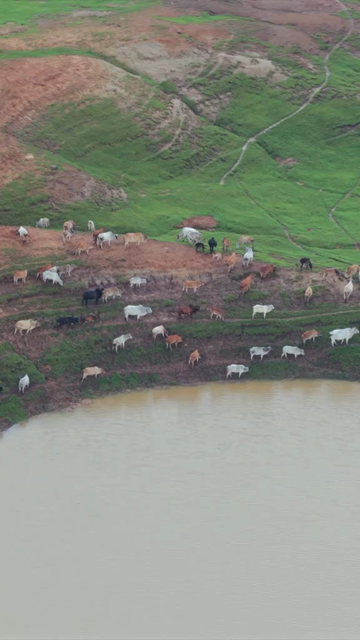 Vertical Aerial View of Tawa Reservoir and Satpura Landscape Madhya Pradesh India