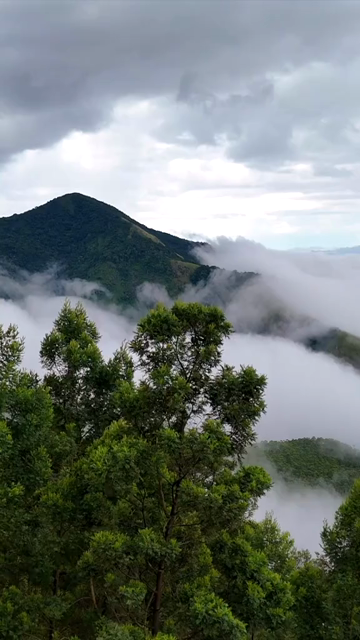Vertical Aerial View of Top Station Mountain Peak in Munnar Kerala India