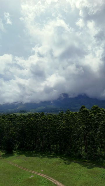 Vertical Aerial View of Top Station Mountain Peak in Munnar Kerala India