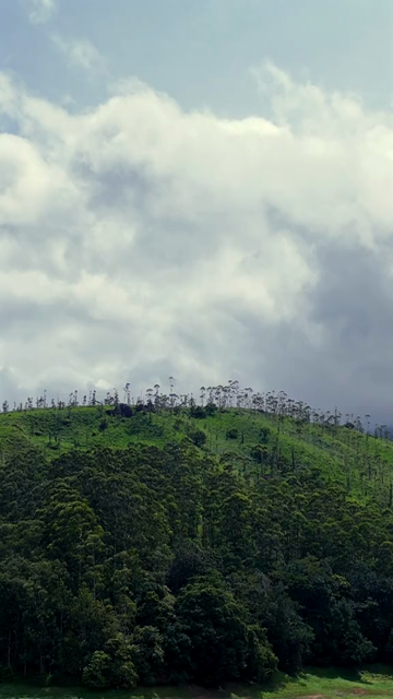 Vertical Aerial View of Top Station Mountain Peak in Munnar Kerala India