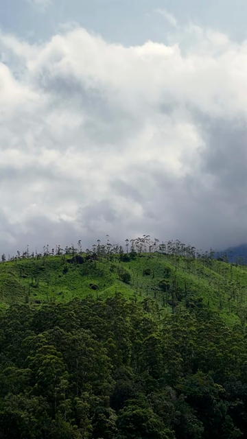 Vertical Aerial View of Top Station Mountain Peak in Munnar Kerala India