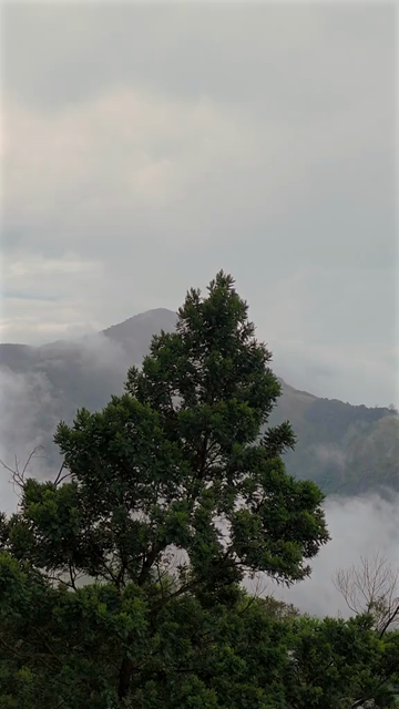 Vertical Aerial View of Top Station Mountain Peak in Munnar Kerala India
