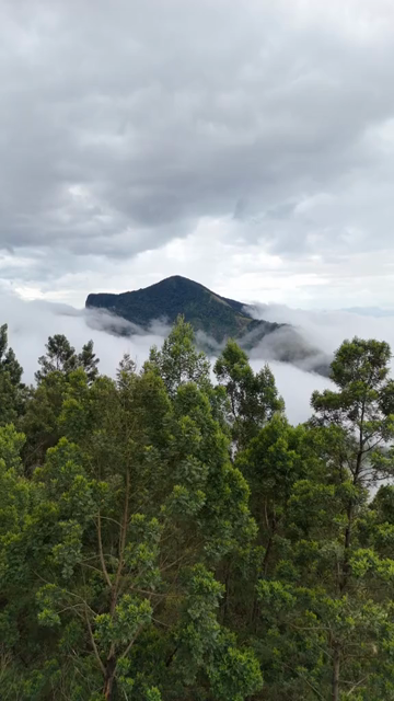Vertical Aerial View of Top Station Mountain Peak in Munnar Kerala India