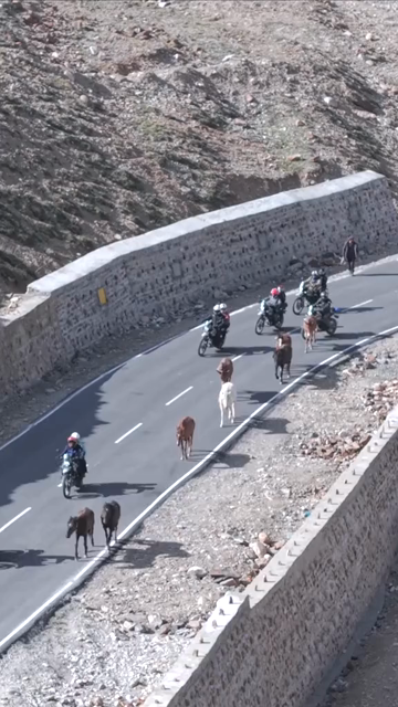 Vertical Aerial View of Tourist Bikers Riding Through Ladakh, India