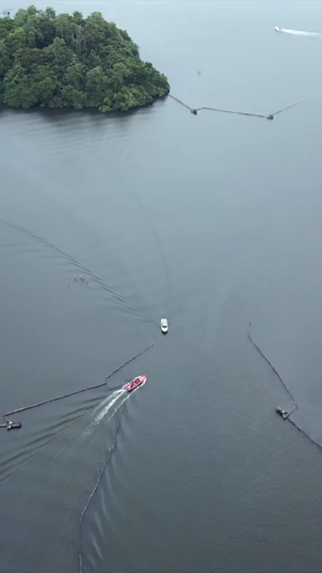 Vertical Aerial View of Tourists Boating on Madu Ganga Mangrove Lagoon Sri Lanka