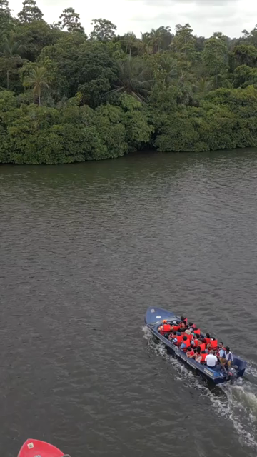 Vertical Aerial View of Tourists Boating on Madu Ganga Mangrove Lagoon Sri Lanka
