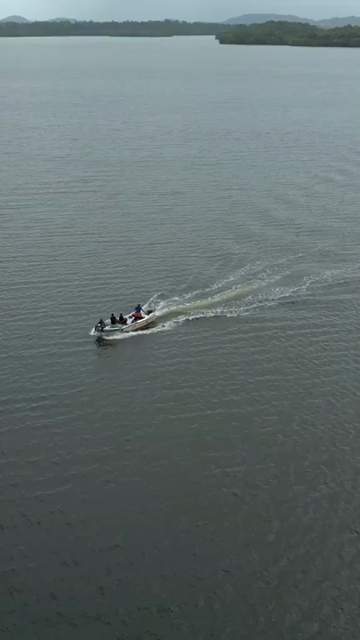 Vertical Aerial View of Tourists Boating on Madu Ganga Mangrove Lagoon Sri Lanka