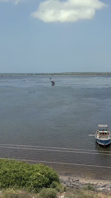 Vertical Aerial View of Traditional Fishing Nets in Jaffna Lagoon Sri Lanka