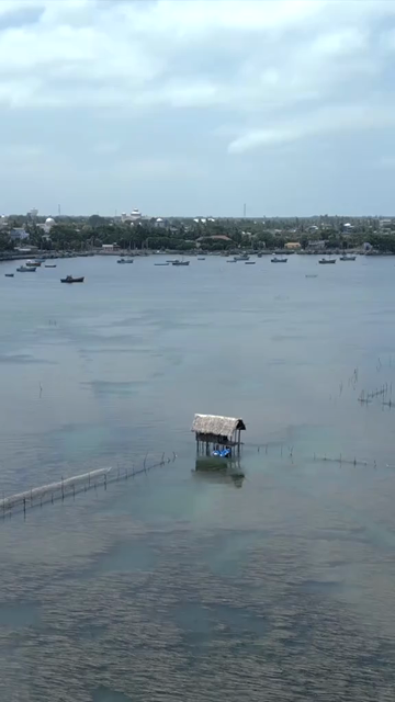Vertical Aerial View of Traditional Fishing Nets in Jaffna Lagoon Sri Lanka