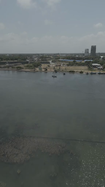 Vertical Aerial View of Traditional Fishing Nets in Jaffna Lagoon Sri Lanka