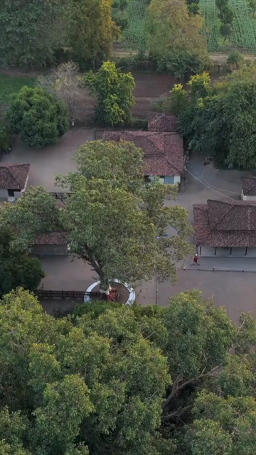 Vertical Aerial View of Traditional Rural Village and Red Tiled Houses Sri Lanka