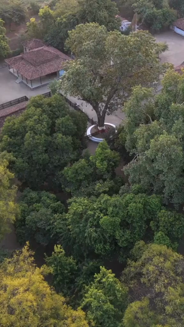 Vertical Aerial View of Traditional Rural Village and Red Tiled Houses Sri Lanka