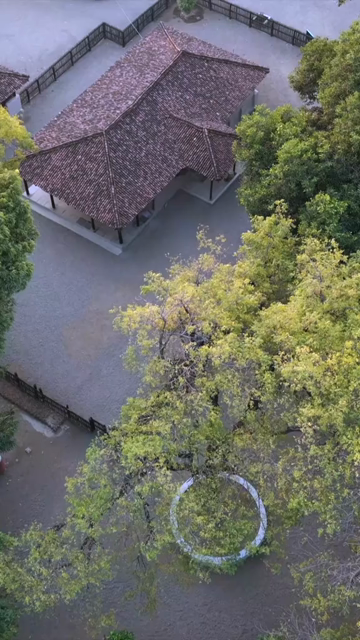 Vertical Aerial View of Traditional Rural Village and Red Tiled Houses Sri Lanka