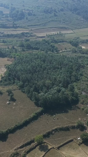 Vertical Aerial View of Traditional Tribal Village in Madhya Pradesh India