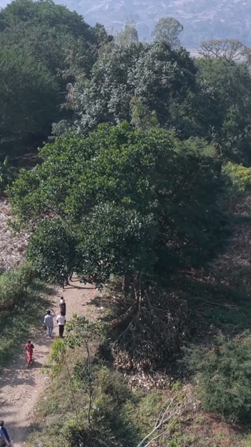 Vertical Aerial View of Traditional Tribal Village in Madhya Pradesh India
