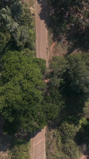 Vertical Aerial View of Traditional Tribal Village in Madhya Pradesh India