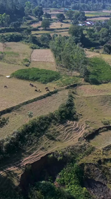 Vertical Aerial View of Traditional Tribal Village in Madhya Pradesh India