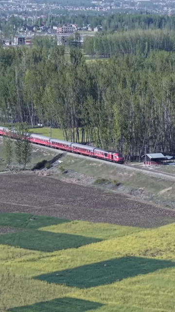 Vertical Aerial View of Train Passing Through Pampore Kashmir Valley India