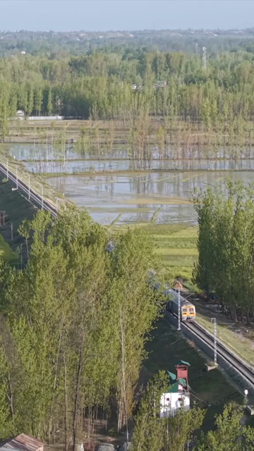 Vertical Aerial View of Train Passing Through Pampore Kashmir Valley India