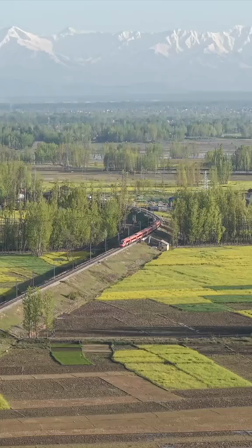 Vertical Aerial View of Train Passing Through Pampore Kashmir Valley India