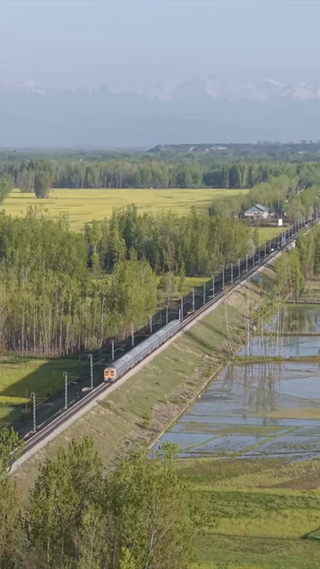 Vertical Aerial View of Train Passing Through Pampore Kashmir Valley India