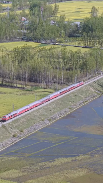 Vertical Aerial View of Train Passing Through Pampore Kashmir Valley India
