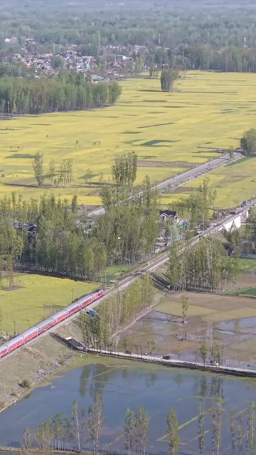 Vertical Aerial View of Train Passing Through Pampore Kashmir Valley India