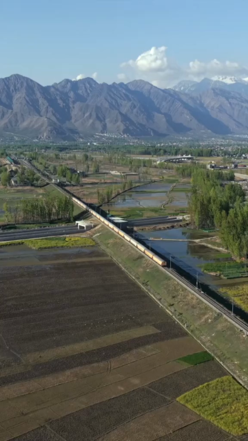 Vertical Aerial View of Train Passing Through Pampore Kashmir Valley India