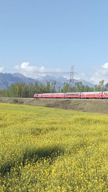 Vertical Aerial View of Train Passing Through Pampore Kashmir Valley India
