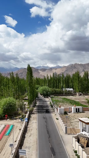 Vertical Aerial View of Tree Lined Road and Himalayan Landscape in Ladakh India