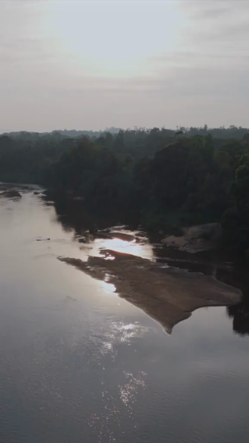 Vertical Aerial View of Tropical River and Dense Forest Sri Lanka