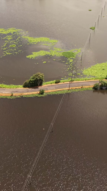 Vertical Aerial View of Veliyanad Road and Kerala Backwaters Alappuzha Kerala
