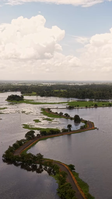 Vertical Aerial View of Veliyanad Road and Kerala Backwaters Alappuzha Kerala